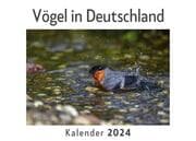 Cover von Vögel in Deutschland (Wandkalender 2024, Kalender DIN A4 quer, Monatskalender im Querformat mit Kalendarium, Das perfekte Geschenk)