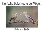 Cover von Tierische Balzrituale bei Vögeln (Wandkalender 2024, Kalender DIN A4 quer, Monatskalender im Querformat mit Kalendarium, Das perfekte Geschenk)