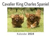 Cover von Cavalier King Charles Spaniel (Wandkalender 2024, Kalender DIN A4 quer, Monatskalender im Querformat mit Kalendarium, Das perfekte Geschenk)