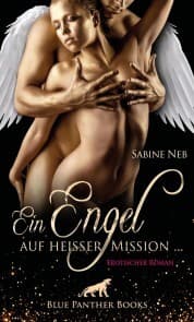 Cover von Ein Engel auf heißer Mission ... , Erotischer Fantasy-Roman