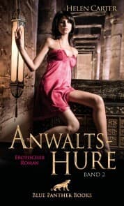Cover von Anwaltshure Band 2 , Erotischer Roman