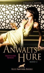 Cover von Anwaltshure Band 3 , Erotischer Roman