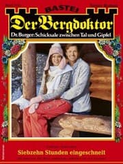 Cover von Der Bergdoktor 2113