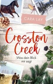 Cover von Crosston Creek - Was dein Blick mir sagt