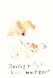 Cover von Jimmy und Fips