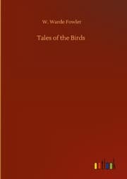 Cover von Tales of the Birds