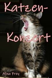 Cover von Katzen - Konzert