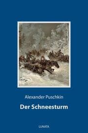 Cover von Der Schneesturm
