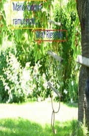 Cover von Maria röviden rámutatott a bejárati ajtóra. Valahogy megtalálta a bátorságot