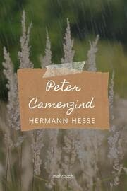 Cover von Peter Camenzind