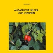 Cover von Alltägliche Bilder zum Staunen