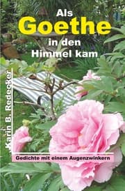 Cover von Als Goethe in den Himmel kam