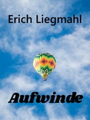 Cover von Aufwinde