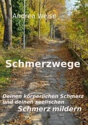 Cover von Schmerzwege