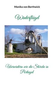 Cover von Winterflügel