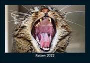 Cover von Katzen 2022 Fotokalender DIN A5