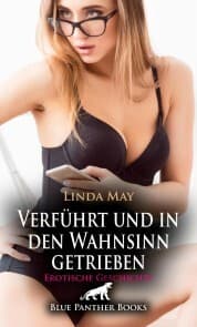 Cover von Verführt und in den Wahnsinn getrieben , Erotische Geschichte