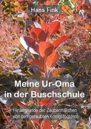 Cover von Meine Ur-Oma in der Buschschule