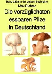 Cover von Die vorzüglichsten essbaren Pilze in Deutschland - Band 232e in der gelben Buchreihe - Farbe - bei Jürgen Ruszkowski