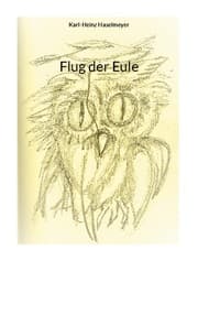 Cover von Flug der Eule