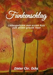 Cover von Funkenschlag