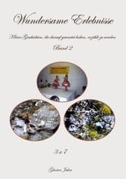 Cover von Wundersame Erlebnisse, Band 2