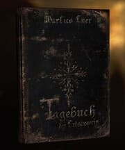 Cover von Tagebuch der Erdsängerin