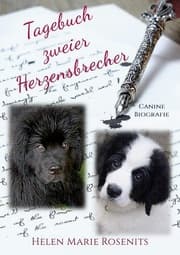 Cover von Tagebuch zweier Herzensbrecher