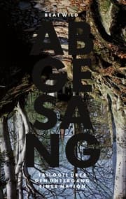 Cover von Abgesang