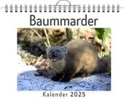 Cover von Baummarder