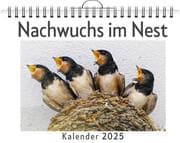 Cover von Nachwuchs im Nest