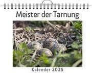 Cover von Meister der Tarnung - (Wandkalender 2025, Kalender DIN A4 quer, Monatskalender im Querformat mit Kalendarium, das perfekte Geschenk)