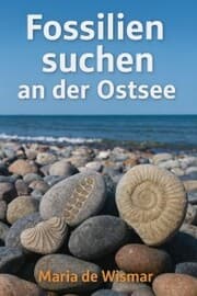 Cover von Fossilien suchen an der Ostsee