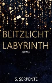 Cover von Blitzlichtlabyrinth