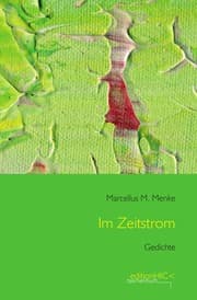 Cover von Im Zeitstrom