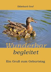 Cover von Wunderbar begleitet