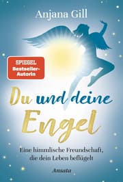 Cover von Du und deine Engel