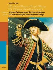 Cover von Die Kunst des Barocktrompetenspiels