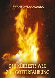 Cover von Der kürzeste Weg zur Gotterfahrung