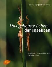 Cover von Das geheime Leben der Insekten