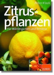 Cover von Zitruspflanzen für Wintergarten und Terrasse