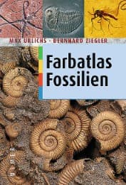 Cover von Farbatlas Fossilien