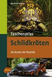 Cover von Schildkröten