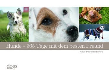 Cover von Hunde - 365 Tage mit dem besten Freund