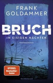 Cover von Bruch: In eisigen Nächten