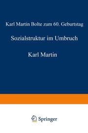 Cover von Sozialstruktur im Umbruch