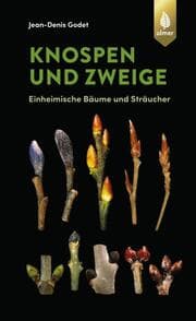 Cover von Knospen und Zweige