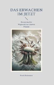 Cover von Das Erwachen im Jetzt