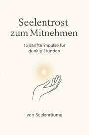 Cover von Seelentrost zum Mitnehmen