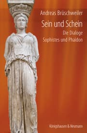 Cover von Sein und Schein
